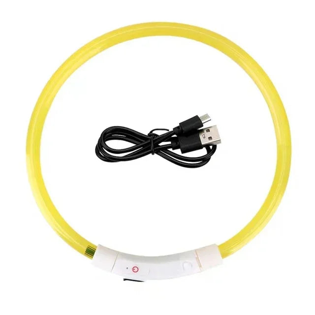 🐾 PawTailed™ LED Dog & Cat Collar – Luminous USB Rechargeable