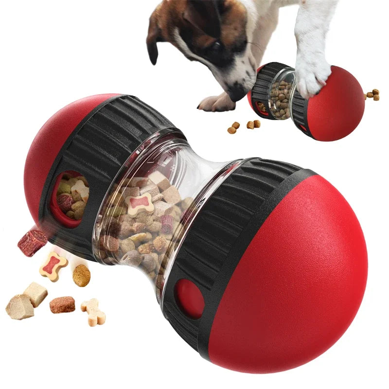 Pawtailed elliptical track rolling ball toy
