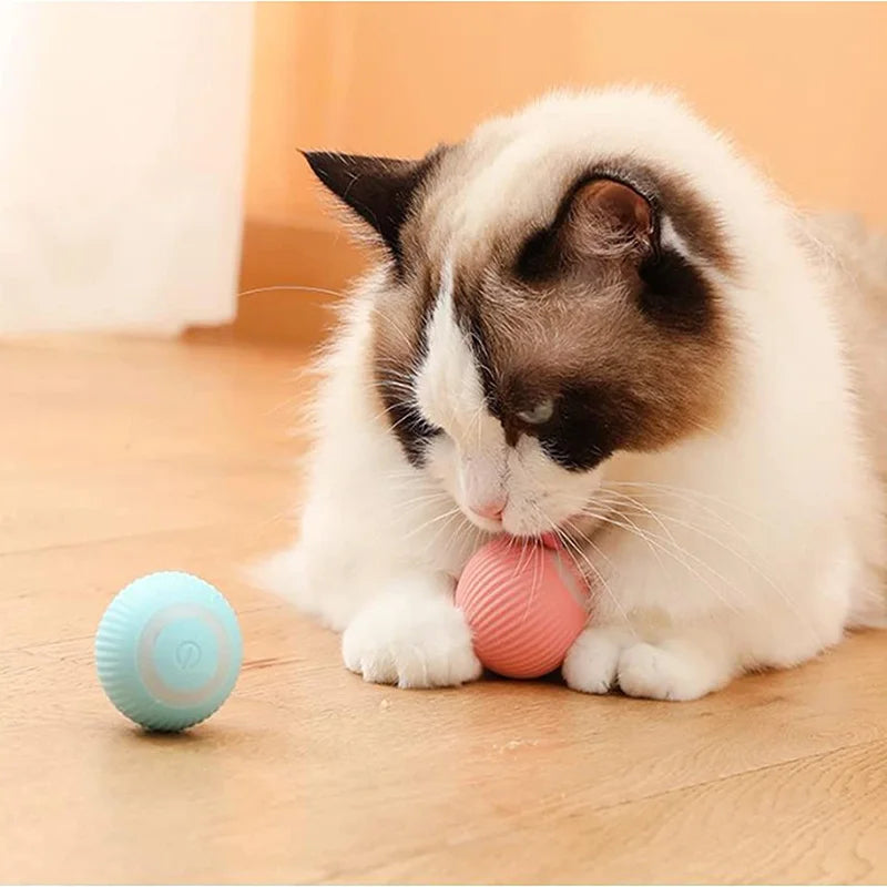 PawTailed Smart Rolling Ball