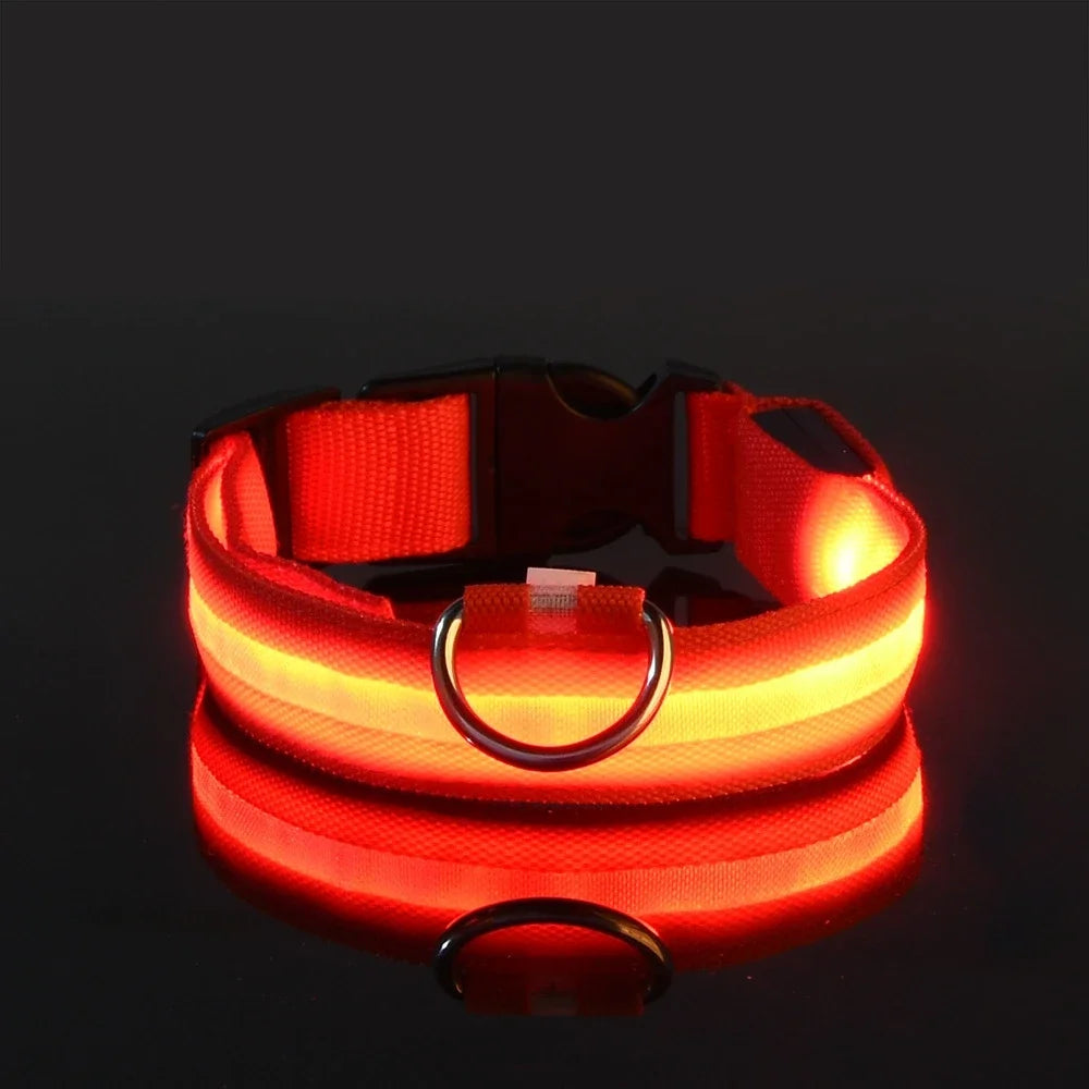 🐾 PawTailed™ Nylon LED Night Safety Dog Collar – Keep your furry friend safe and stylish day & night!