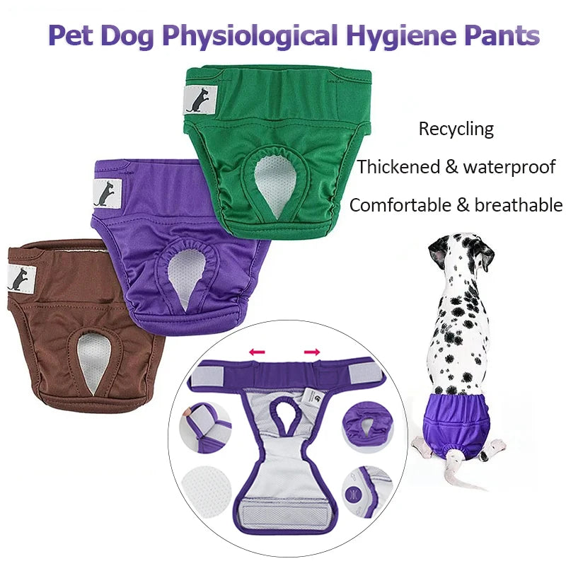 🐾 PawTailed Dog Hygiene Pants