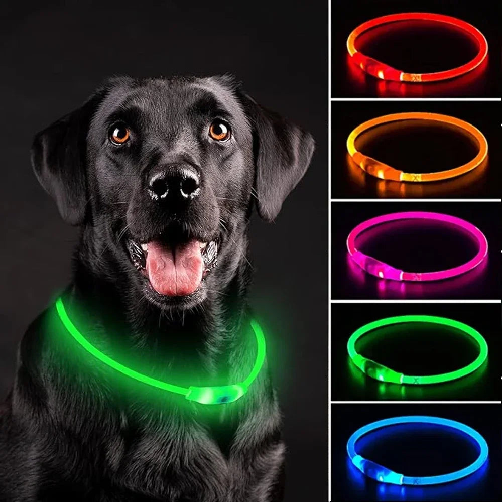 🐾 PawTailed™ LED Dog & Cat Collar – Luminous USB Rechargeable