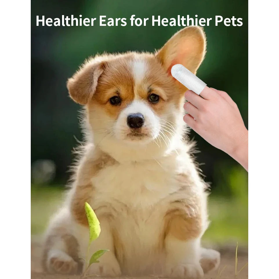 🐾 PawTailed Pet Ear Cleaning Wipes – Fingertip Design for Easy Use 🐶🐱