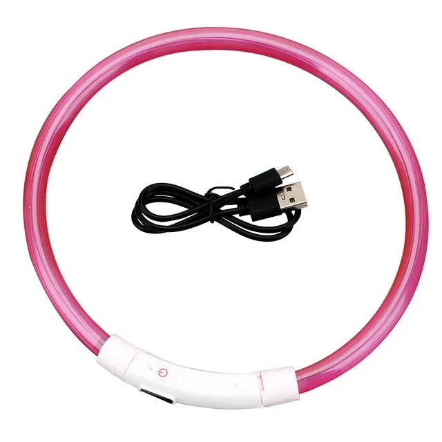 🐾 PawTailed™ LED Dog & Cat Collar – Luminous USB Rechargeable