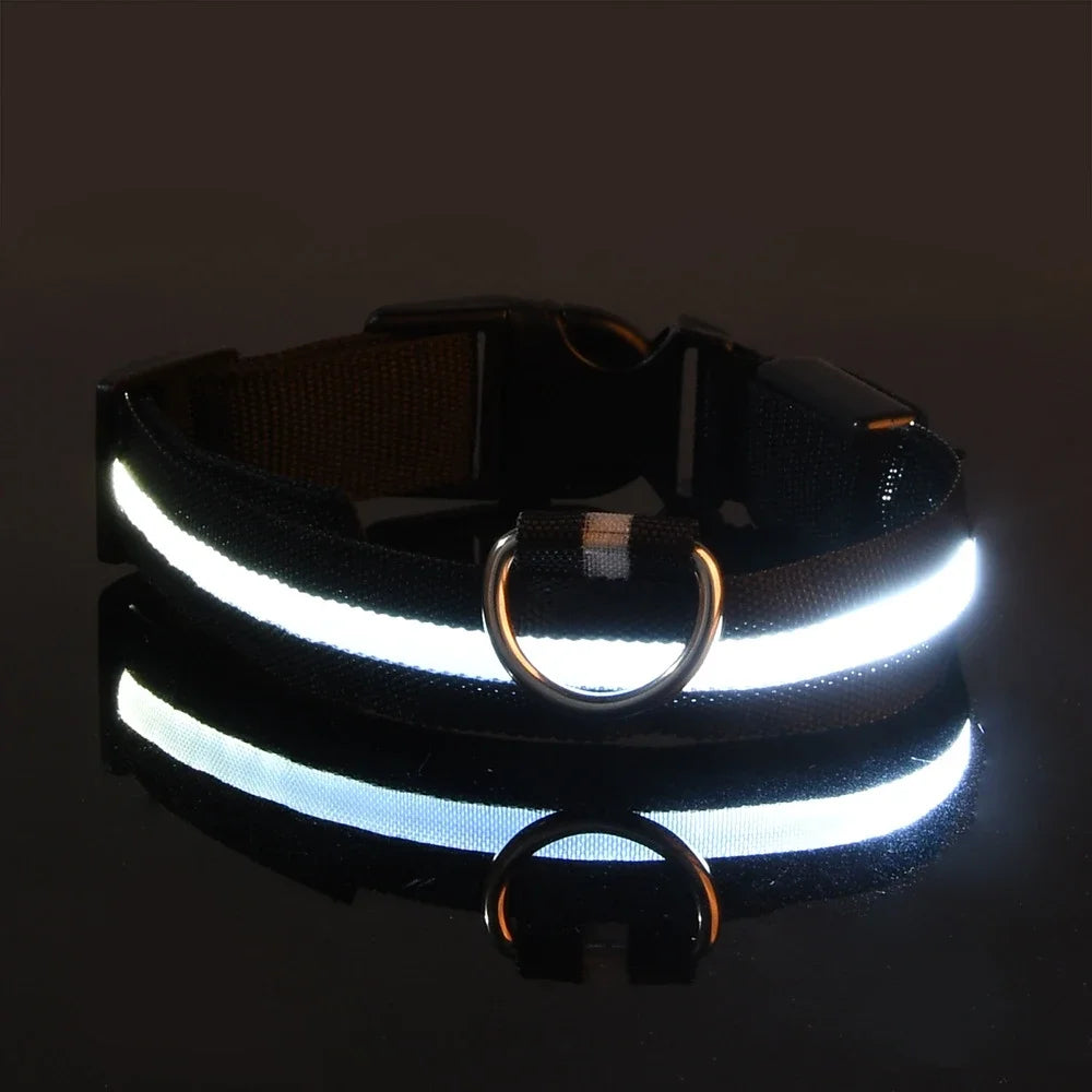 🐾 PawTailed™ Nylon LED Night Safety Dog Collar – Keep your furry friend safe and stylish day & night!