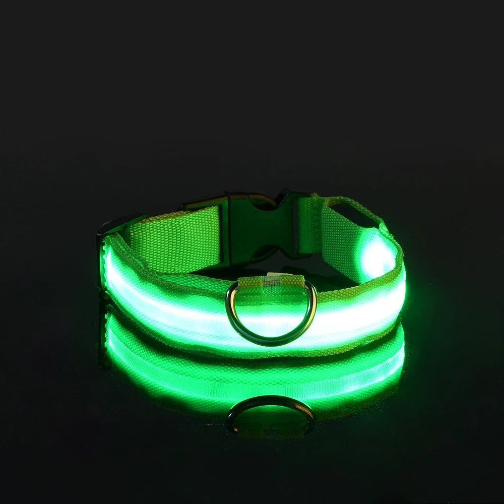 🐾 PawTailed™ Nylon LED Night Safety Dog Collar – Keep your furry friend safe and stylish day & night!