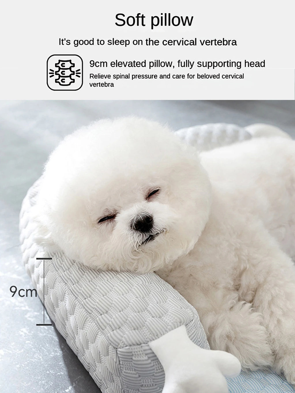 🐾 Pawtailed – Summer Cooling Mat for Pets ❄️