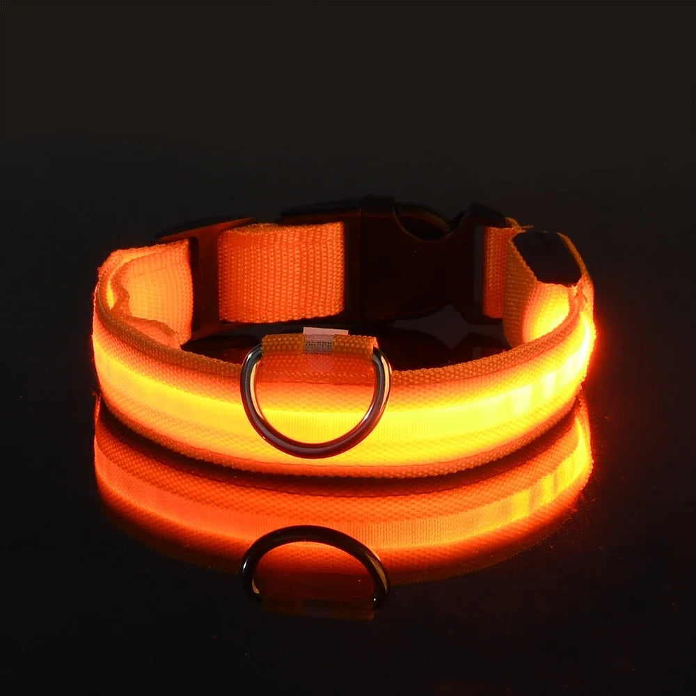 🐾 PawTailed™ Nylon LED Night Safety Dog Collar – Keep your furry friend safe and stylish day & night!