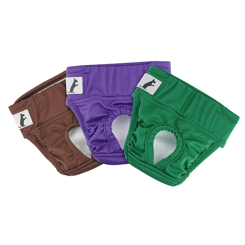 🐾 PawTailed Dog Hygiene Pants