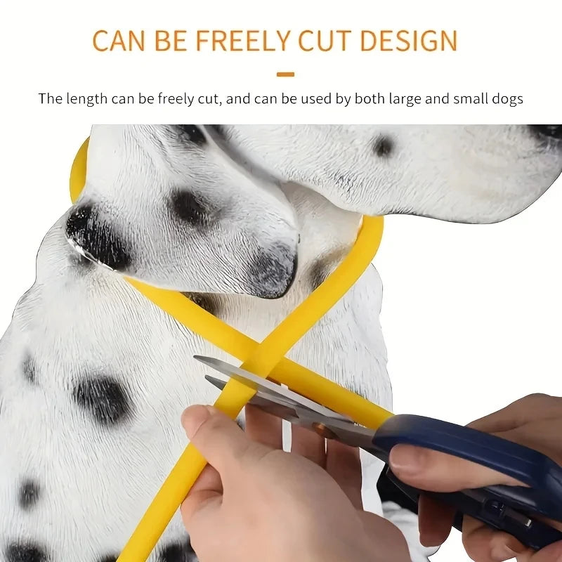 🐾 PawTailed™ LED Dog & Cat Collar – Luminous USB Rechargeable