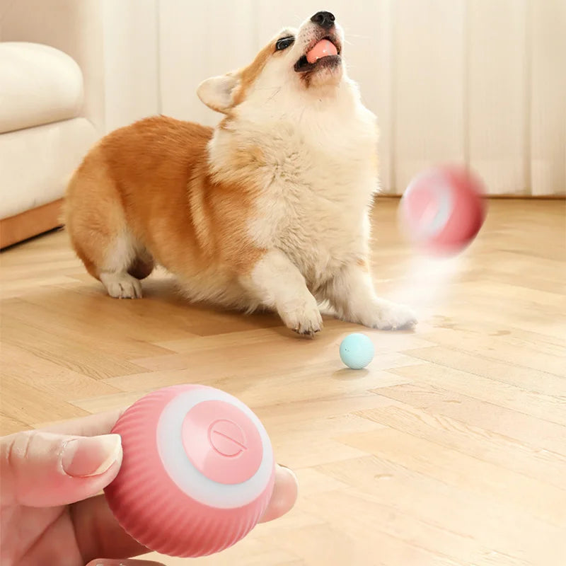 PawTailed Smart Rolling Ball