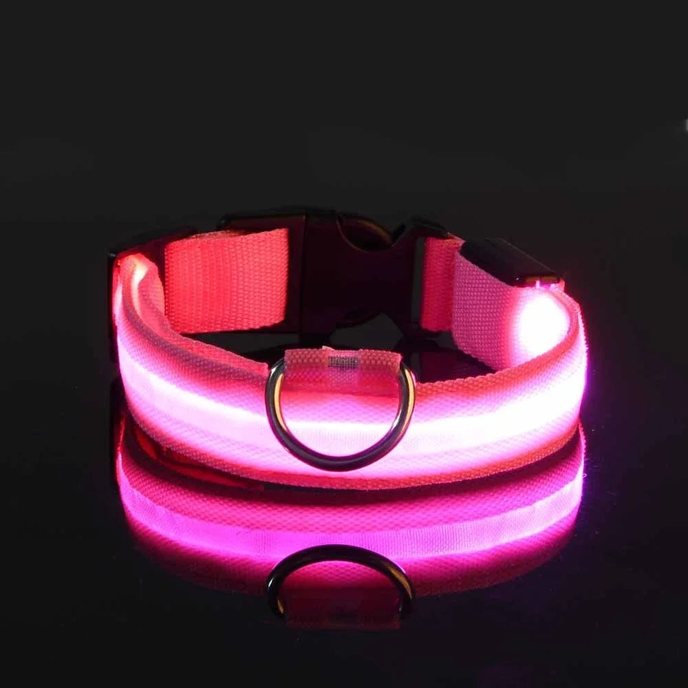 🐾 PawTailed™ Nylon LED Night Safety Dog Collar – Keep your furry friend safe and stylish day & night!