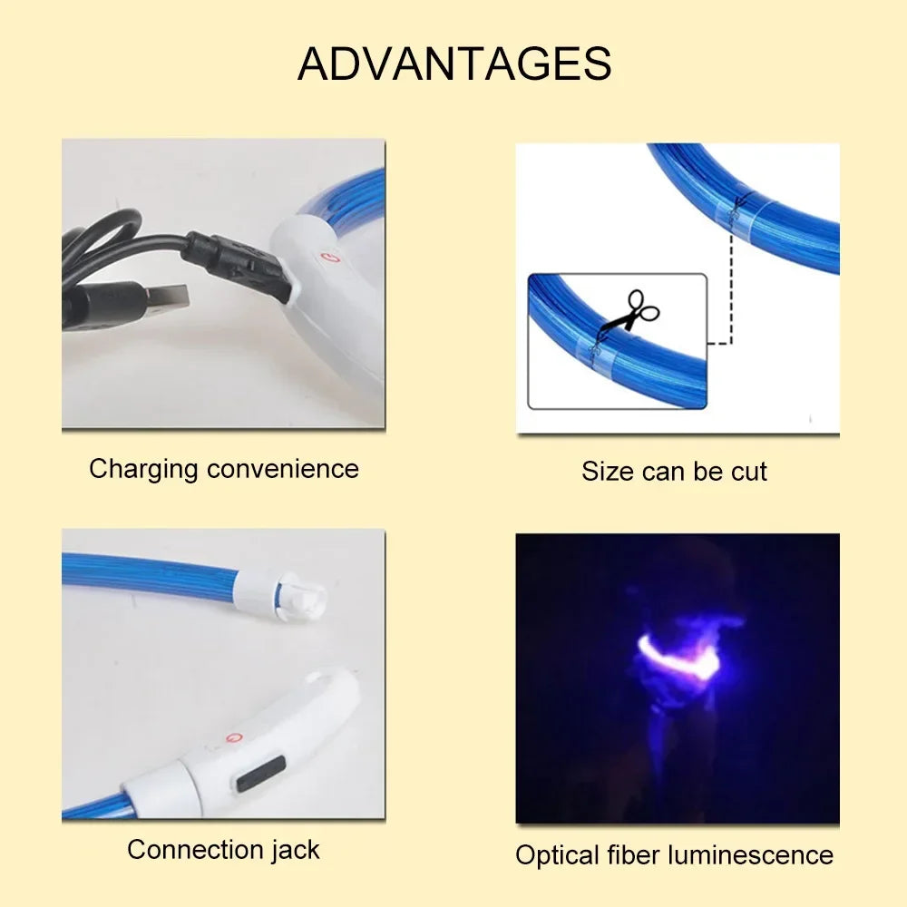 🐾 PawTailed™ LED Dog & Cat Collar – Luminous USB Rechargeable