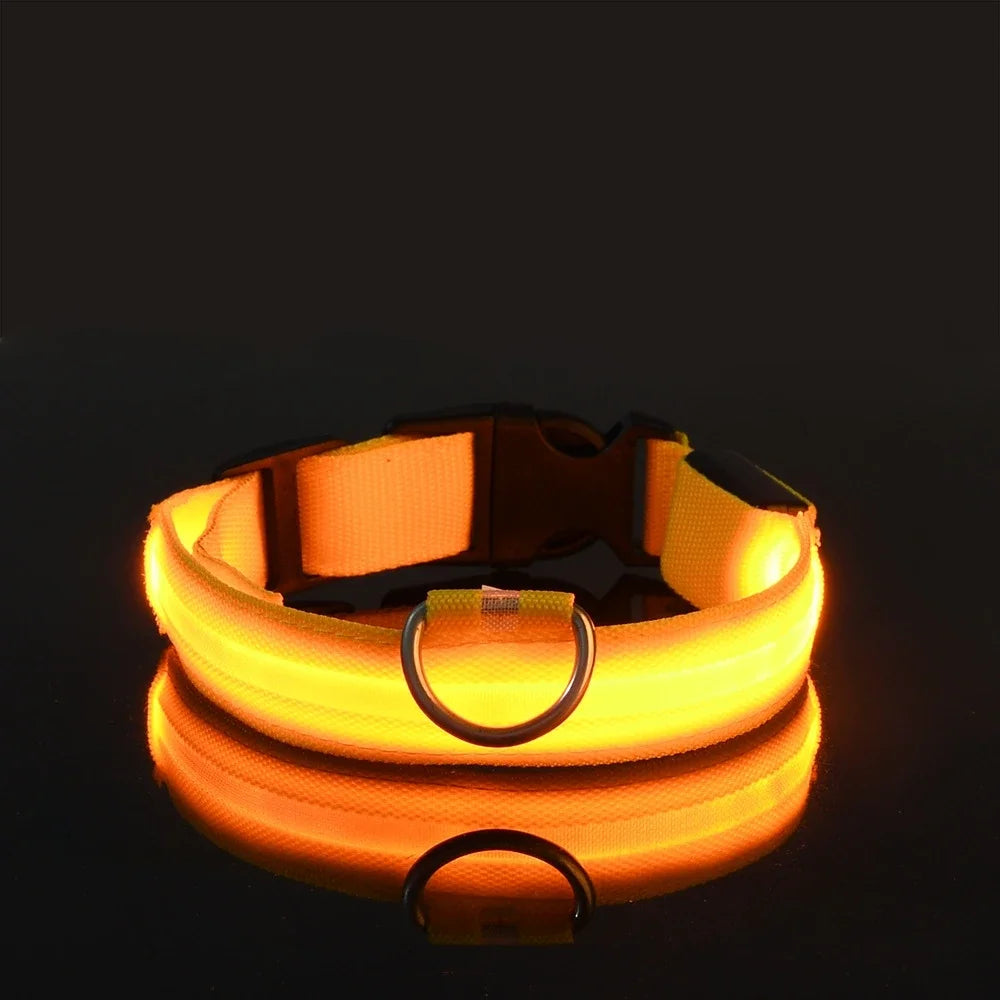 🐾 PawTailed™ Nylon LED Night Safety Dog Collar – Keep your furry friend safe and stylish day & night!